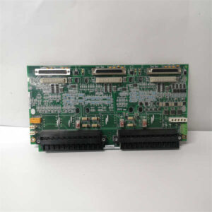 DS200TCPDG1BEC