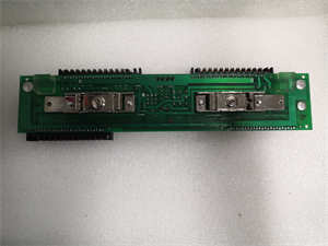 1C31194G01