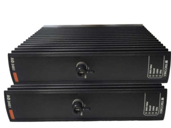 Triconex AO3481 3624