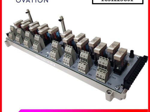 OVATION-1C31223G01-(1)
