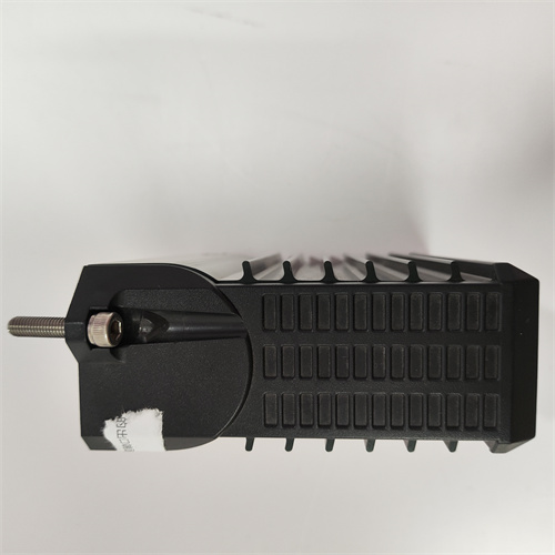 TRICONEX PLM3900N - 图片 2